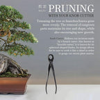 BambooMN Bonsai Basics Set - 8" Knob Cutter and 7.2" Trimming Shear - 1 Set