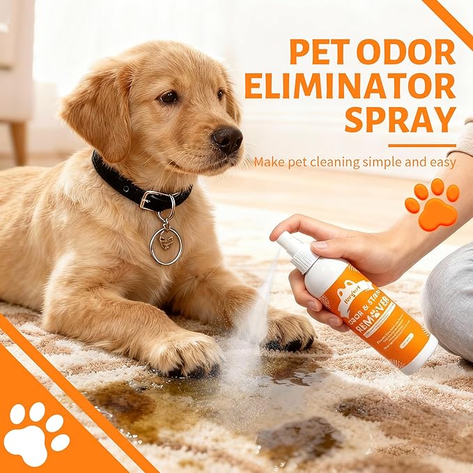 Stain & Strong Odor Eliminator, Pet Odor Eliminator for Strong Odor, Carpet Stain Remover for Cat, Dog,Furniture, Beds
