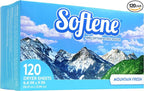 Mountain Fresh Dryer Sheets 120ct