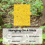 Qualirey 200 Pcs 6 x 8 Inch Sticky Traps for Gnats Dual Sided Fruit Fly Sticky Traps for Indoor and Outdoor Plant with Twist Ties and Plastic Holders for Flying Plant Insect, Fungus Gnats (Yellow)
