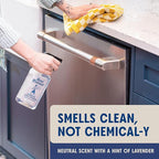 Aunt Fannie's Stainless Steel Spray Cleaner, Powered by Vinegar, Fingerprint and Residue Remover for Refrigerator, Dishwasher, Oven, Grill, Sink, Stovetop, and Other Appliances, Pack of 1