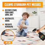 PNG Vitality Stain & Odor Eliminator – 16.9oz Pet Odor Neutralizer for Home, Carpets, Upholstery, Effective on Urine, Vomit, Feces Cat & Dog Urine Destroyer, Carpet Cleaner Spray for Lasting Freshness