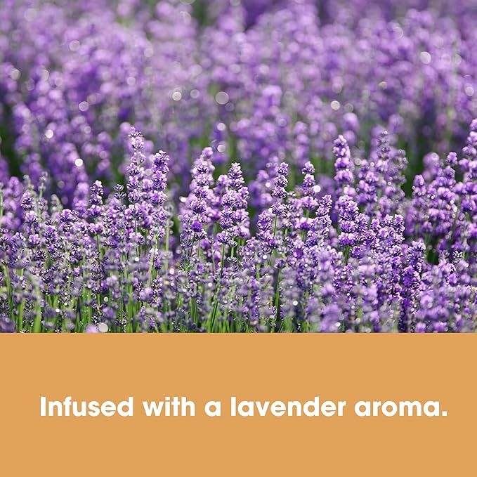 Furniture Clinic Vinyl Floor Cleaner | Dilutes to 170 FL Oz | Easy and Safe Application | Quick-Drying with Lavender Aroma | 17oz / 500ml