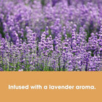 Furniture Clinic Vinyl Floor Cleaner | Dilutes to 170 FL Oz | Easy and Safe Application | Quick-Drying with Lavender Aroma | 17oz / 500ml