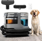 Portable Carpet & Upholstery Cleaner, 18Kpa Power Suction Spot Cleaner Machine for Deep Pet Stain Remover, Carpet, Area Rugs, Couches, Stairs, Cars, Includes Tools & Self-Cleaning, Grey