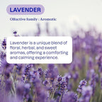 ATTITUDE Liquid Fabric Softener, Plant-Based & Vegan, HE Compatible, Naturally Derived, Lavender Scent, 80 Loads, 67.6 Fl Oz