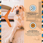 Pet Life Unlimited Carpet Refresher & Deodorizer Powder - Pet Safe, Plant Based Wild Sage & Neroli Scent, Made in USA - 16oz (Pack of 1)