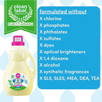 Dapple Baby Laundry Detergent, Plant Powered, Hypoallergenic, Fragrance Free, Concentrated, 50 fl oz (Pack of 2)