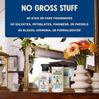 Aunt Fannie's Glass & Window Cleaning Bundle, Vinegar Spray and Wipes, Natural Streak-Free Spray, Pack of 3