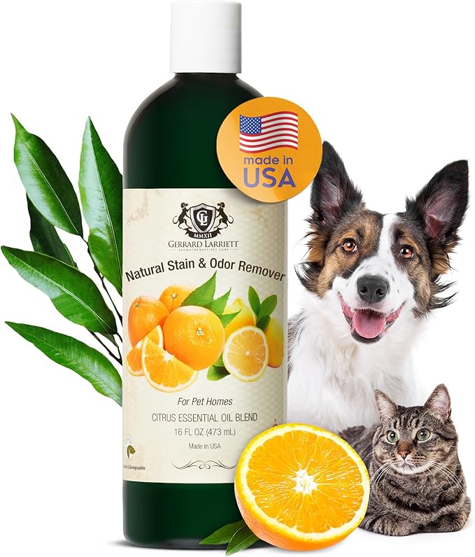 Pet Urine Odor Eliminator Spray Citrus Oil Blends 16 oz, Dog & Cat Urine Enzyme Cleaner Destroyer Wood Floor, Enzyme Pet Stain and Odor Remover for Carpet, Cat & Dog Pee Cleaner by Gerrard Larriett