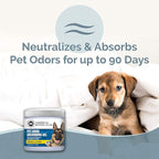 SMELLS BEGONE Pet Odor Absorber Gel - Air Freshener & Odor Eliminator - Made with Essential Oils - Fresh & Clean Scent - 15 Ounce