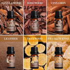 SALKING Woodsy Essential Oils Set for Men, Masculine Essential Oils, 12 x 10ml Natural Fragrance Essential Oils for Diffuser, Candle & Soap Making, Manly Essential Oil Gift for Husband