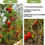 40 Pack Tomato Roller Hooks with 49.2FT String, Greenhouse Trellising Kit for Tomato,Plant, Greenhouse,Flower Vine Twine Crop Trellis Kit Plant Roller Trellis Hook