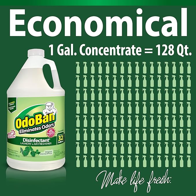 OdoBan Ready-to-Use Disinfectant and Odor Eliminator, Made in the USA, Original Eucalyptus Scent, Set of 2, 32 oz Spray and 1 Gallon Concentrate