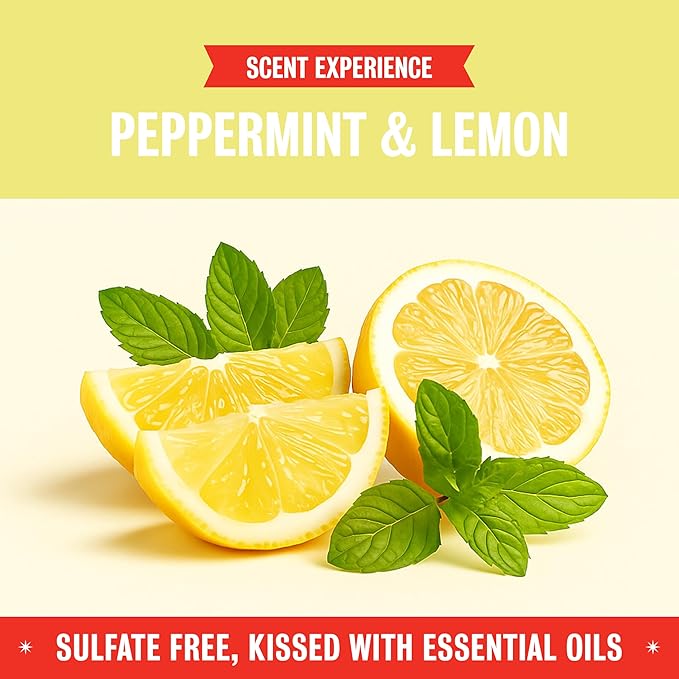 Rebel Green Super Deluxe Dish Soap - Plant-Based Sustainable Dishwashing Soap - Peppermint & Lemon Scent - 16 fl oz - 2 Pack