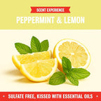 Rebel Green Natural All-Purpose Cleaning Spray - Plant-Derived Multi-Surface Cleaner with Essential Oils for Kitchen, Bath, Countertops and More - Peppermint & Lemon Scent - 16 oz - 2 Pack