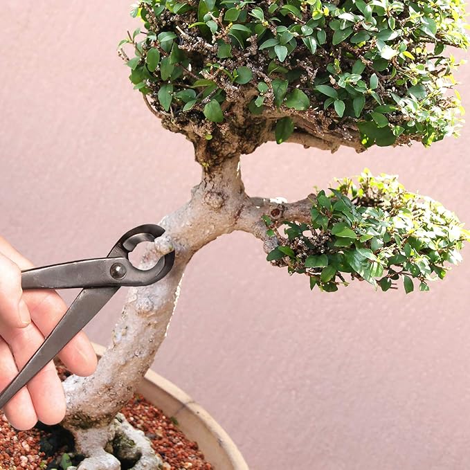 BambooMN Bonsai 8" Concave Cutter Tool - 1 Piece