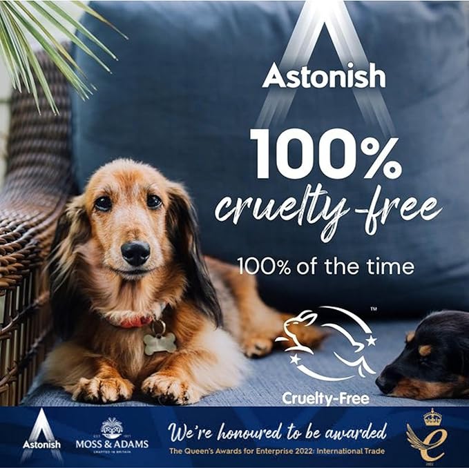Astonish 750ml Specialist Air Fryer Cleaner Spray with Baking Soda, 2 Pack - Non Stick Safe Grease Remover, Food Residue Lifter, Quick Rinse Vegan Cruelty Free Kitchen Degreaser, No Scrub Formula