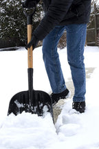 Forest Hill Manufacturing General Purpose Poly Gardener Scoop Shovel (Black Poly, 48-Inch)