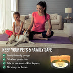 ASPECTEK Sticky Dome Flea Trap, Odorless Glue Trap with 2 Sticky Discs, Effective Bed Bug Killer and Flea and Tick Treatment, Indoor Insect Trap for Bugs, 1 Pack in Orange and Dark Gray