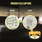 ASPECTEK Sticky Dome Flea Trap, Odorless Glue Trap with 2 Sticky Discs, Effective Bed Bug Killer and Flea and Tick Treatment, Indoor Insect Trap for Bugs, 1 Pack in Orange and Dark Gray