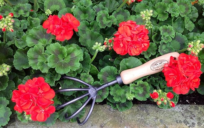 DeWit 5-Tine Hand Cultivator – Tempered Boron Steel Claw Tool for Weeding, Aerating & Debris Removal – Ash Hardwood Handle – Compact Garden Tool – 11” Long