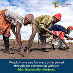 EVERSPROUT 1.5-to-3 Foot Swivel Squeegee and Microfiber Window Scrubber (8-10 Ft Standing Reach) | 2-in-1 Window & Glass Cleaning Combo | Lightweight, Aluminum Extension Pole | Includes 10-inch Blades