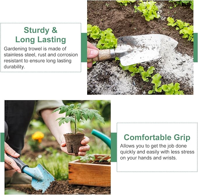 HARFINGTON Seeding Widger 13.6 x 1.26 Stainless Steel Garden Hand Shovel Seed Trowel with Wooden Handle Long & Narrow for Planting Weeding Digging