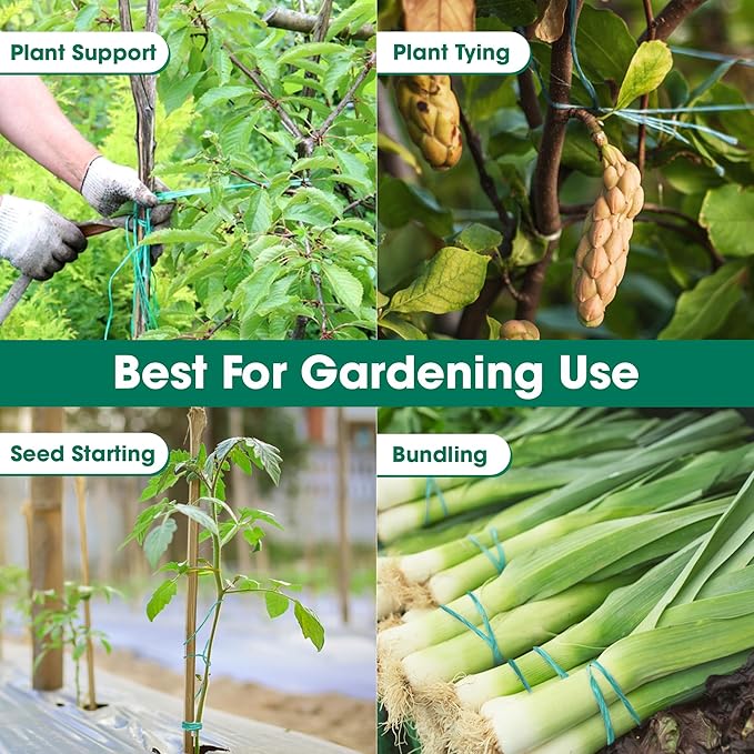 Polypropylene Twine - 5/64" Thick, 164 Feet Long for Bundling, Packaging, Gardening and More, Green