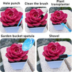 5Pcs Mini Succulent Tools Set, Plastic Garden Hand Tools Kit for Indoor Plant Care, Succulent Bonsai Miniature Garden Tool Set,Small Gardening Tools for Transplanting Digging Planting, Blue