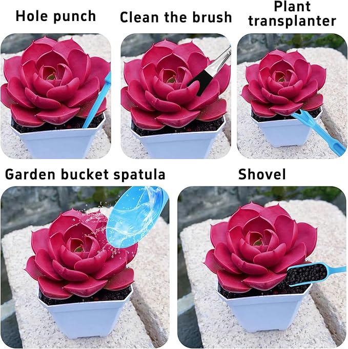 5Pcs Mini Succulent Tools Set, Plastic Garden Hand Tools Kit for Indoor Plant Care, Succulent Bonsai Miniature Garden Tool Set,Small Gardening Tools for Transplanting Digging Planting, Blue