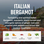 Laundry Sauce - Laundry Fabric Softener (Italian Bergamot) Luxury Fragrance, Softens & Preserves Fabric, Reduces Wrinkles, 19 Fl Oz