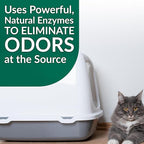Simple Green Cat Stain & Odor Remover - Enzyme Cleaner for Cat Urine, Feces, Blood, Vomit (32 oz Sprayer & 1 gallon Refill)