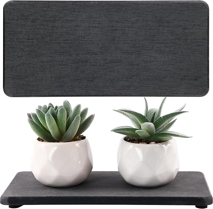 2 Pcs Water Absorbing Stone Trays, Kitchen/Bathroom Sink Soap Dish, Diatomite Tray Used for Hand Soap & Cosmetic Bottles in The Modern Home, 4" W x 8.3" L, Dark Gray