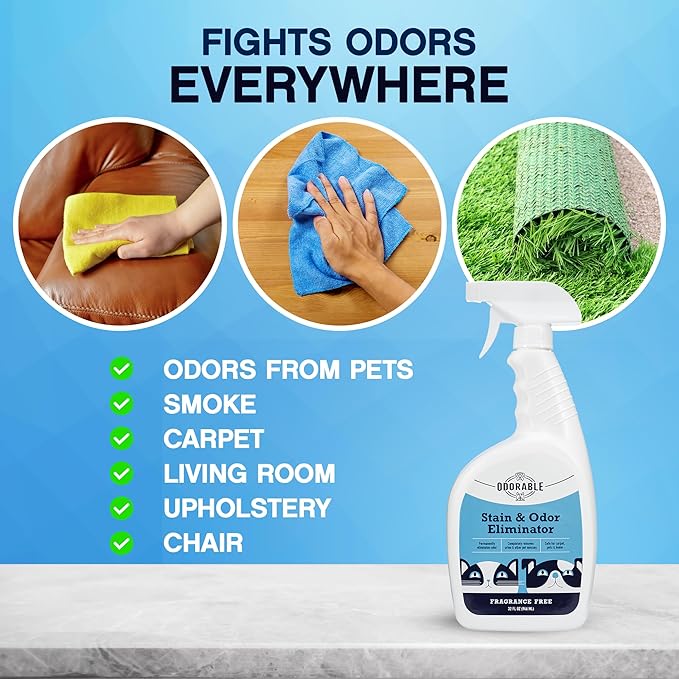 Stain & Odor Eliminator (32 oz) - Professional Cleaner for Pet Urine, Vomit & Feces, Safe on Carpet, Couch & Floor, Pet Stain Eliminator Spray, Advance Odor Control Technology