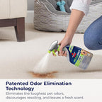 Bissell PET PRO OXY Stain Destroyer for Carpet and Upholstery, 22 oz, 17739, 2 Count (Pack of 2)