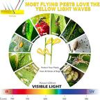 90PCS Yellow Sticky Traps for Indoors/Outdoor Gnat Traps for Plants Fungus Gnats Sticky Traps for Whiteflies Mosquitoes Fruitflies Thrips Aphids... Stake Holders Included Dual-Sided