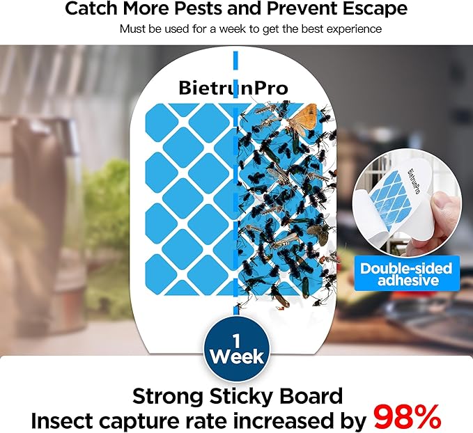 Indoor Fruit Fly & Gnat Traps Plug-in - UV/Blue Light Insect Trap with 2 Devices+6 Refills, Safe & Odorless Flying Insect Catcher for House/Kitchen/Office - Get Rid of Mosquitoes, Moths, Gnats