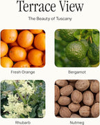 Signature Set, Includes All Purpose Cleaner, Dish Soap, Hand Wash, Hand Cream, & Scented Candle, Terrace View