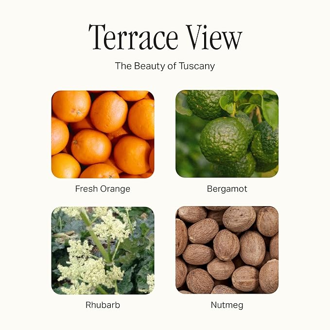 Dish Soap, Clean Ingredients, Tough on Grease & Residue, Safe for People & Pets