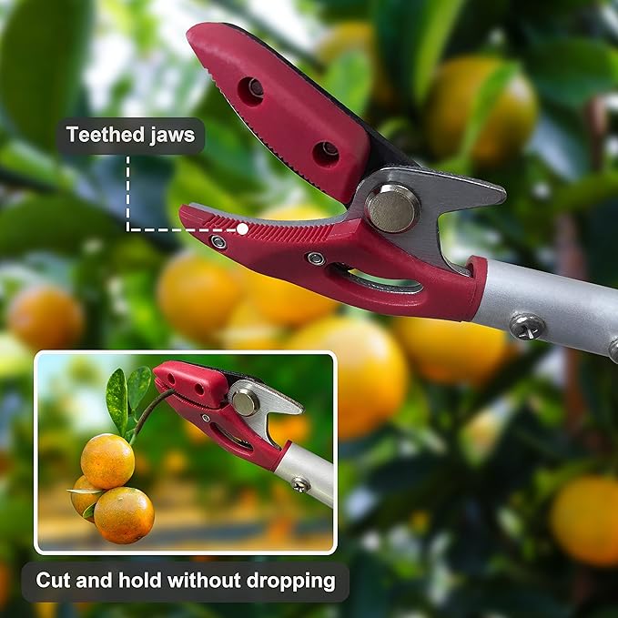 Tree Trimmer, 2 Foot Pole Pruner, Long Reach Pruning Shears, Cut and Hold Garden Clippers, Aluminum Lightweight Handle Fruit Picker, Branch Bypass Loppers