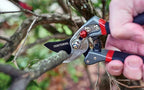 CRAFTSMAN CMXMCBA0700 Bypass Pruning Shears Lightweight Steel, Black