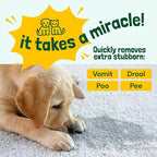 Sunny & Honey Carpet Cleaner Spray - 32 Fl Oz, Spring Mint - 40% More Enzymes & Carpet Stain Remover - Pet Urine Enzyme Cleaner & Floor Deodorizer - Pet & Kid Safe Rug Cleaner