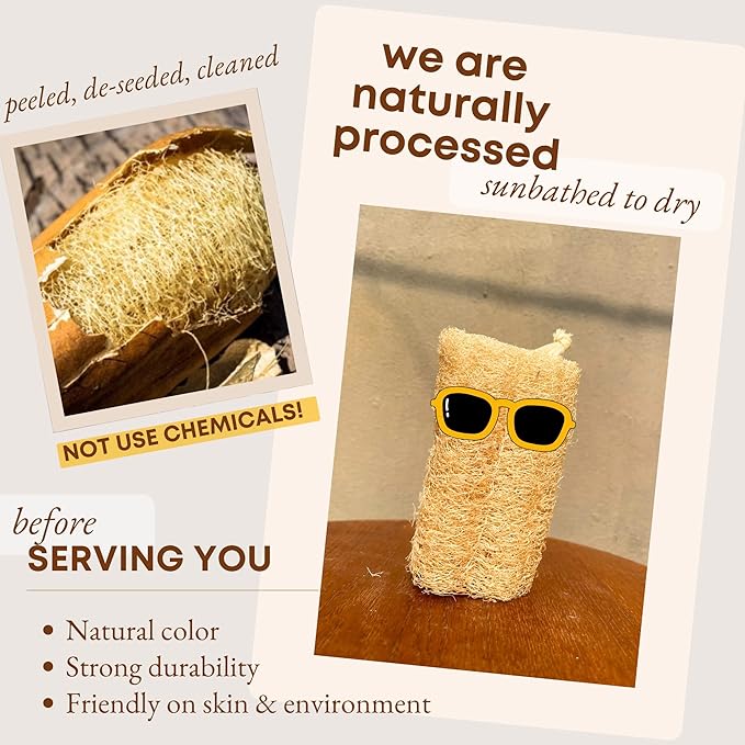 Natural Loofah Dish Sponge (Pack 4) - Vegetable Scrubber for Kitchen - 100% Biodegradable Compostable Dishwashing Scouring Pad Zero Waste
