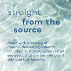Seaweed Bath Co. Balance Conditioner, Eucalyptus Peppermint Scent, 12 Ounce, Sustainably Harvested Seaweed, Pro Vitamin B5, For Normal to Oily Hair