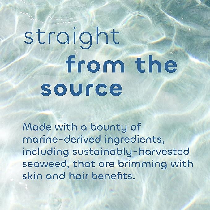Seaweed Bath Co. Balance Conditioner, Eucalyptus Peppermint Scent, 12 Ounce, Sustainably Harvested Seaweed, Pro Vitamin B5, For Normal to Oily Hair