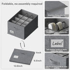 FHSQX 2 Pack Shoe Organizer for Closet,Fits up to 24 Pairs,Fabric Shoe Storage Bins,Large Shoe Box Storage Containers with Bottom Support for Shoes (Dark Gray, (16.5 * 12.6 * 9.5) x1)