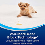 BISSELL® Woolite® Advantage Carpet & Upholstery Cleaner 4 Pack, 3325