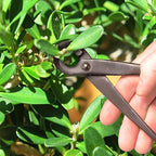 BambooMN Bonsai Basics Set - 8" Concave Cutter, 7" Heavy Duty Shear - 3 Sets