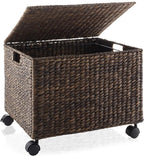 Casafield Rolling Filing Cabinet, Espresso Dark Brown - Water Hyacinth File Organizer with Lid and Wheels, Home Office Storage for Hanging Folders